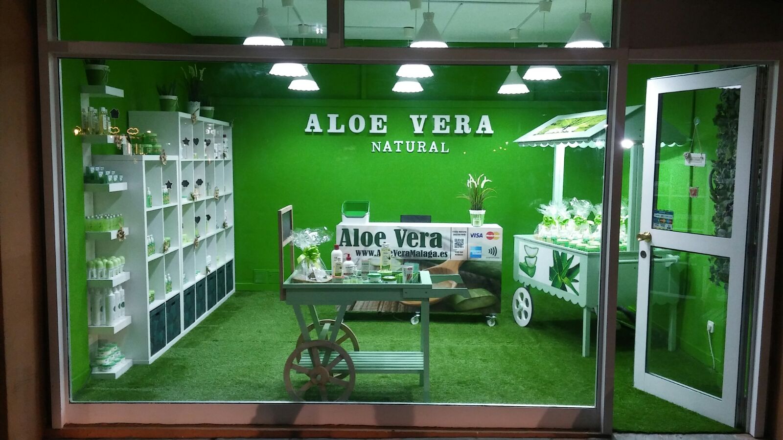 aloe-vera-malaga-0