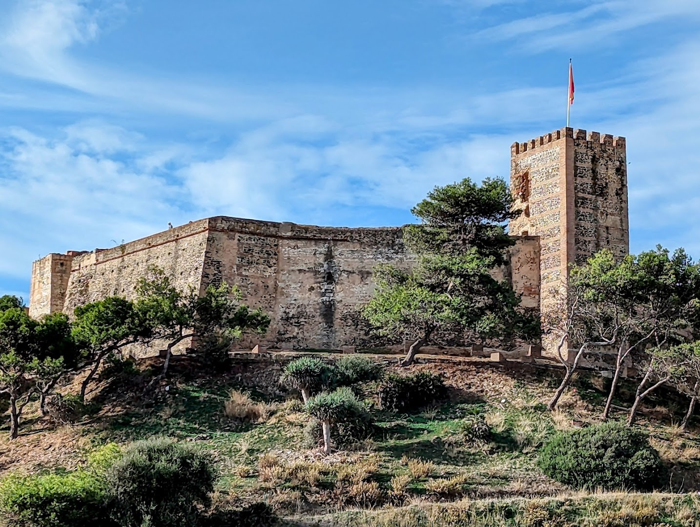 castillo-sohail-0