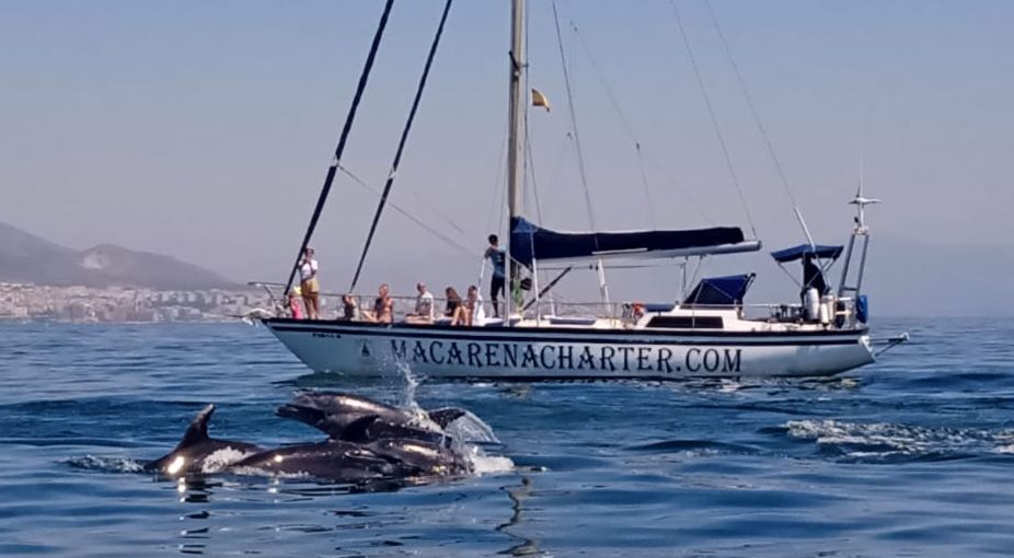 macarena-charter-0