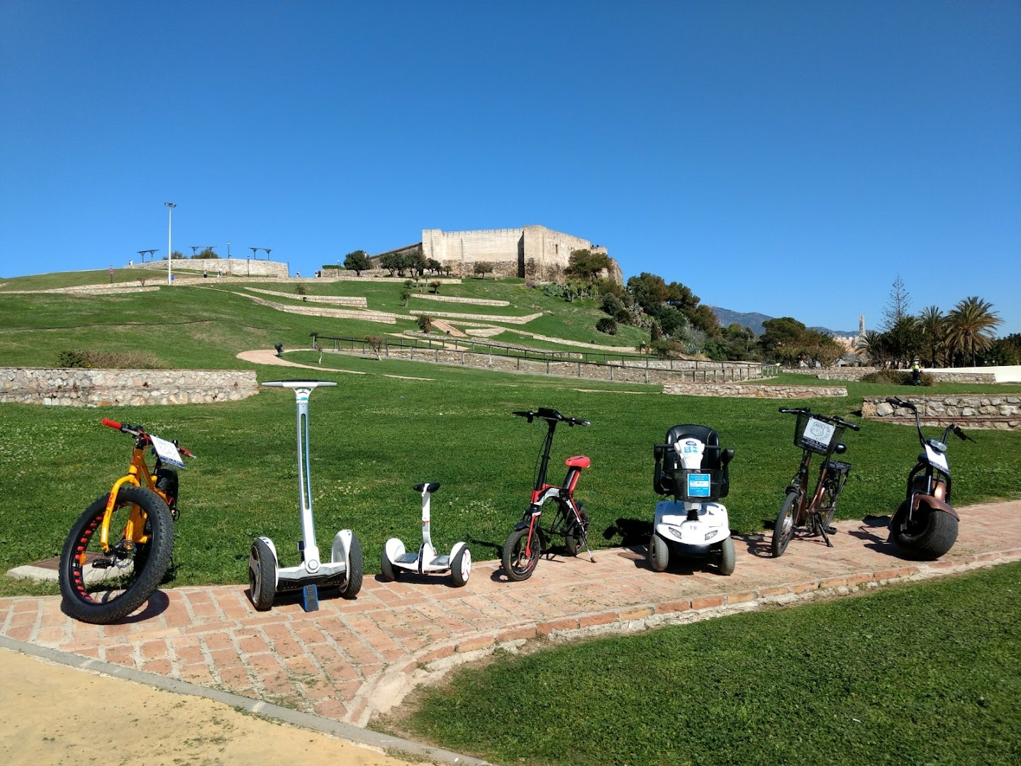 phoenix-rental-fuengirola-0
