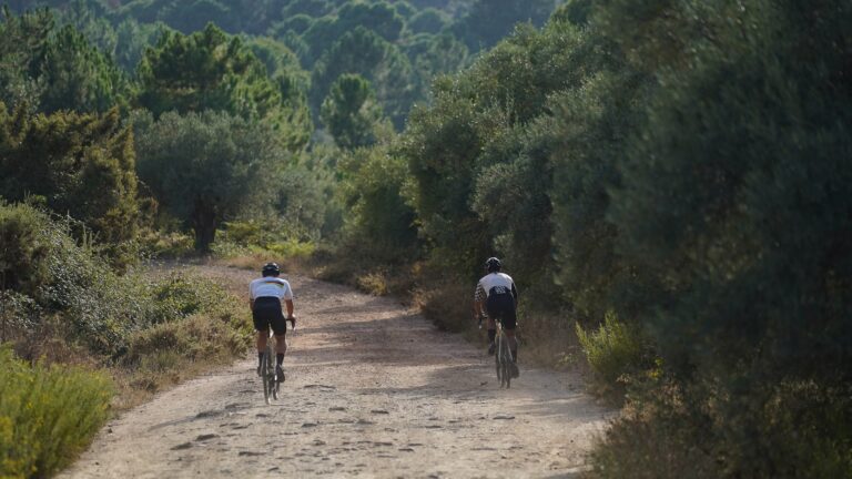 terral-bike-rental-bike-shop-0