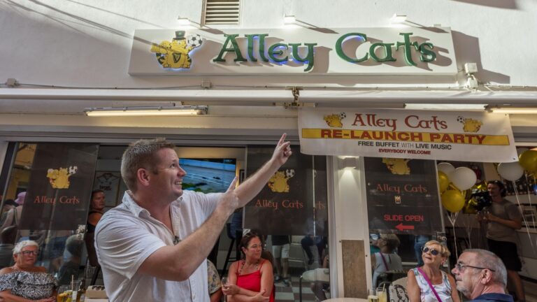 alley-cats-0 alley-cats-0