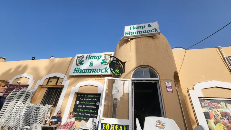 harp-and-shamrock-0 harp-and-shamrock-0