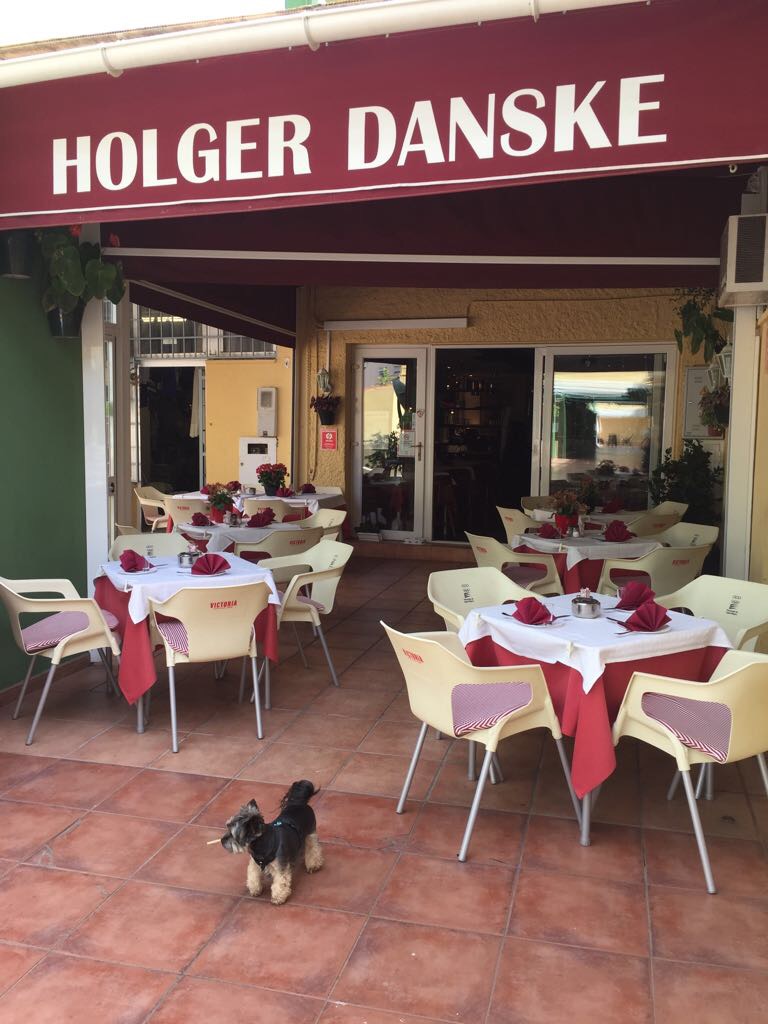holger-danske-0