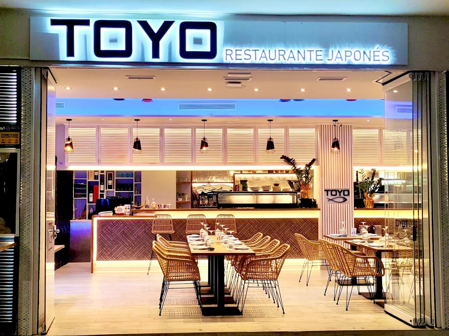 toyo-0